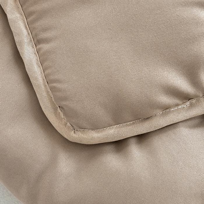 91家纺网 家纺一手货源 找家纺 萌飞 2025新款A类亲肤大豆棉刺绣夹棉床笠床褥学生床垫 银杏叶驼