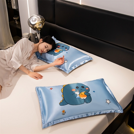 梦舒羽 2025新款可水洗冰丝卡通枕套宿舍48x74cm单人凉爽枕头套 贪吃龙
