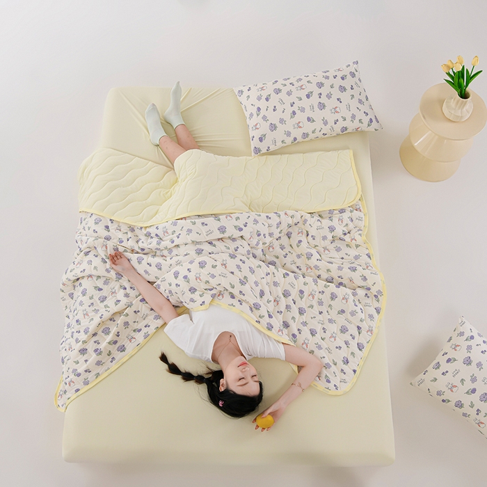 91家纺网 家纺一手货源 找家纺 圣楚 2025新款梦境凉感丝夏凉被 b花颜悦色