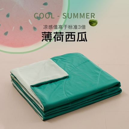 好尚居 2025新款凉感丝夏凉被被子被芯 薄荷西瓜