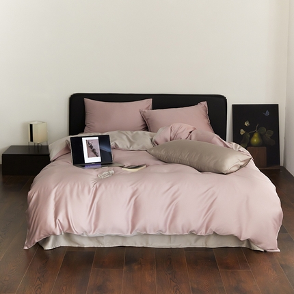 启航家居 2025新款60s纯色兰精天丝四件套 满天星紫-曙光银