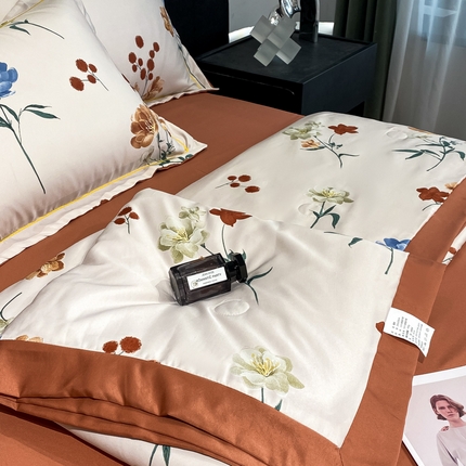 91家纺网 家纺一手货源 找家纺 （总）佳品居 2025新款直播水洗天丝夏被冰丝夏凉被空调被四件套