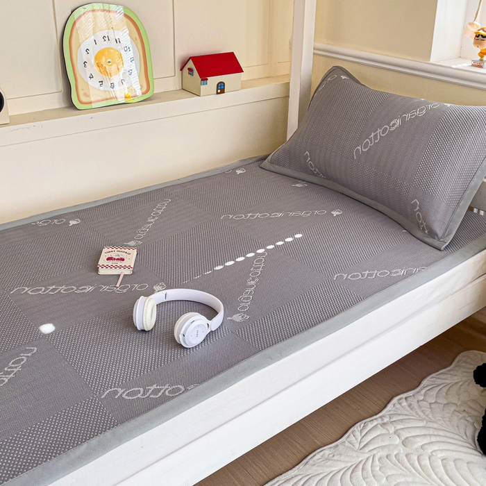 91家纺网 家纺一手货源 找家纺 富馨莱 2025新款A类480克PE凉感凉豆豆凉席三件套和单件学生款 绅士灰