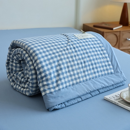 雯雨家纺 2025新款A类无印风里外全棉纯棉水洗棉新疆棉花夏被夏凉被空调被 浅蓝小格