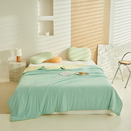 2025新款凉感丝清凉大豆夏被夏凉被空调被大豆夏被凉席四件套-熊猫冻冻被 冻冻被-浅绿拼奶黄