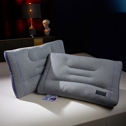 91家纺网 家纺一手货源 找家纺 （总）晚儿 2025新款枕头枕芯-紫云间