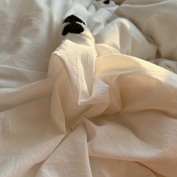 91家纺网 家纺一手货源 找家纺 慕尚家纺 2025新款春夏新款色织水洗棉毛巾绣四件套 熊猫 米白