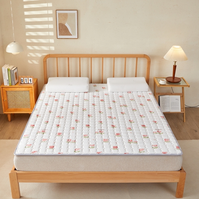 91家纺网 家纺一手货源 找家纺 迪乐妮 2025新款双面可用抑菌冰丝床褥爬爬垫-大床图 郁金香