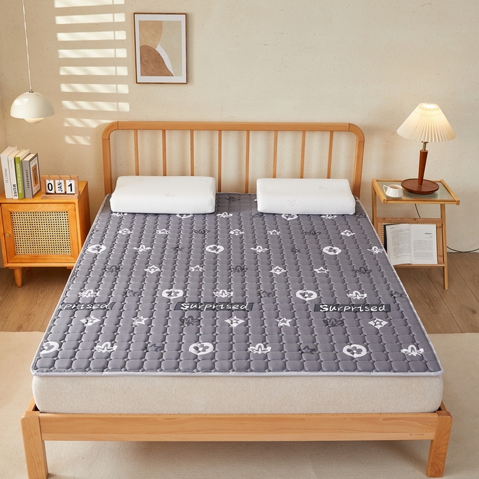 91家纺网 家纺一手货源 找家纺 迪乐妮 2025新款双面可用抑菌冰丝床褥爬爬垫-大床图 新蕊