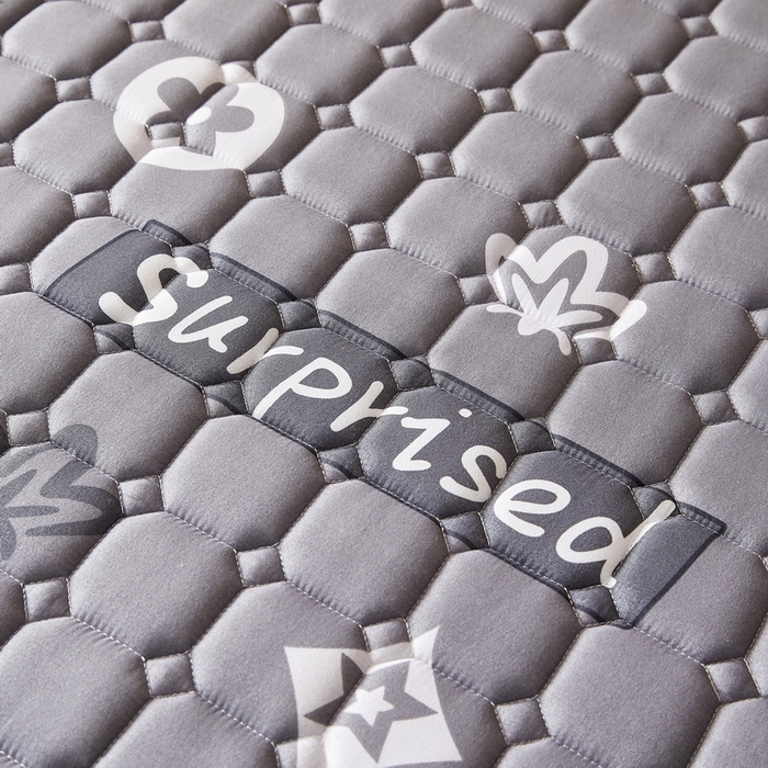 91家纺网 家纺一手货源 找家纺 迪乐妮 2025新款双面可用抑菌冰丝床褥爬爬垫-大床图 新蕊