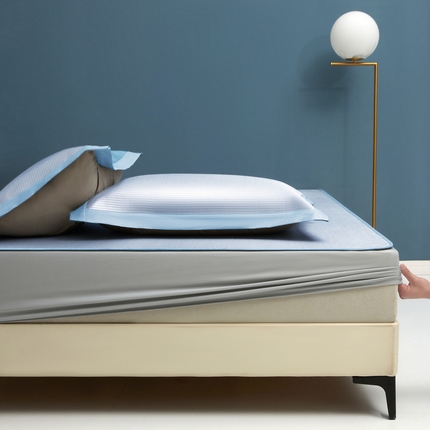 迪乐妮 2025新款母婴级抗菌床笠款冰丝席 蓝 床笠款