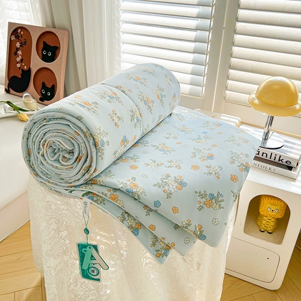 91家纺网 家纺一手货源 找家纺 （总）好梦来家纺（原锦茂家纺） 2025年新款A类数码印花纯色夏凉被凉感丝数夏被冰淇淋夏被空调被西瓜被真丝天丝