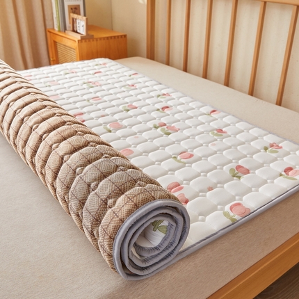 迪乐妮 2025新款双面可用抑菌冰丝床褥爬爬垫-大床图 郁金香