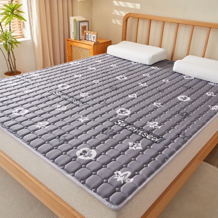 91家纺网 家纺一手货源 找家纺 迪乐妮 2025新款双面可用抑菌冰丝床褥爬爬垫-大床图 新蕊