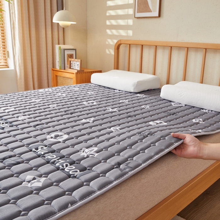 91家纺网 家纺一手货源 找家纺 迪乐妮 2025新款双面可用抑菌冰丝床褥爬爬垫-大床图 新蕊