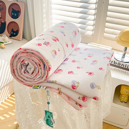 91家纺网 家纺一手货源 找家纺 （总）好梦来家纺（原锦茂家纺） 2025年新款A类数码印花纯色夏凉被凉感丝数夏被冰淇淋夏被空调被西瓜被真丝天丝