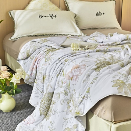 佳居缘 2025新款A类冰氨双面数码印花凉感夏被 锦绣-白