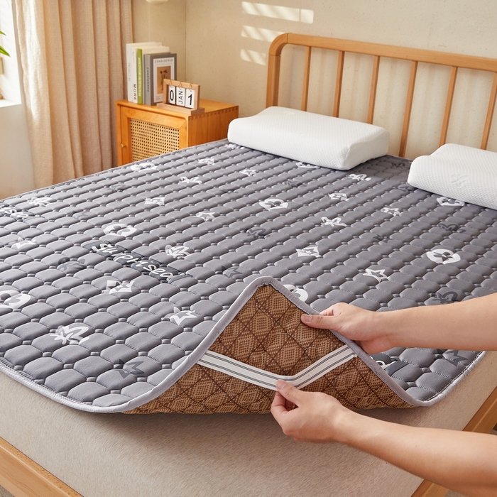 91家纺网 家纺一手货源 找家纺 迪乐妮 2025新款双面可用抑菌冰丝床褥爬爬垫-大床图 新蕊