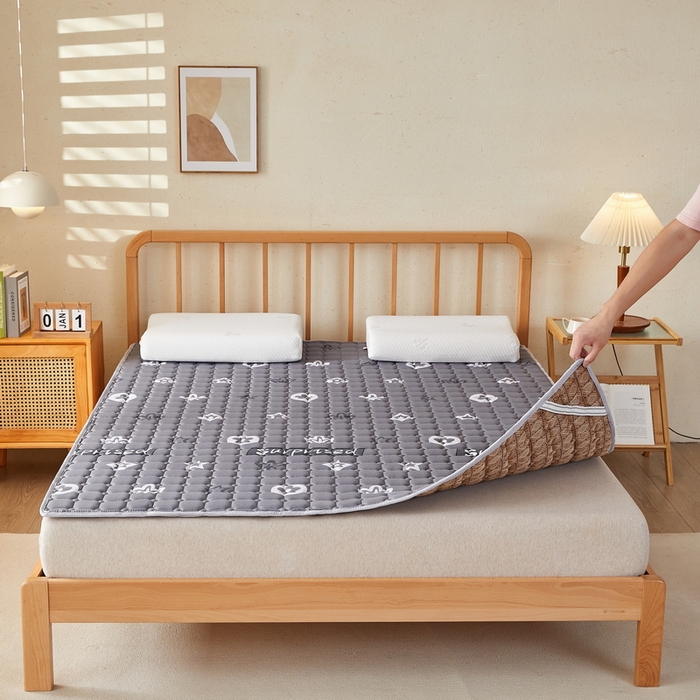 91家纺网 家纺一手货源 找家纺 迪乐妮 2025新款双面可用抑菌冰丝床褥爬爬垫-大床图 新蕊