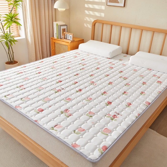 91家纺网 家纺一手货源 找家纺 迪乐妮 2025新款双面可用抑菌冰丝床褥爬爬垫-大床图 郁金香