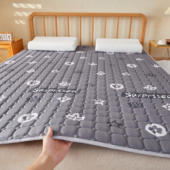 91家纺网 家纺一手货源 找家纺 迪乐妮 2025新款双面可用抑菌冰丝床褥爬爬垫-大床图 新蕊