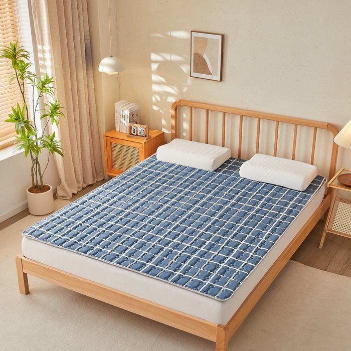 91家纺网 家纺一手货源 找家纺 （总）迪乐妮 2025新款双面可用抑菌冰丝床褥爬爬垫-大床图