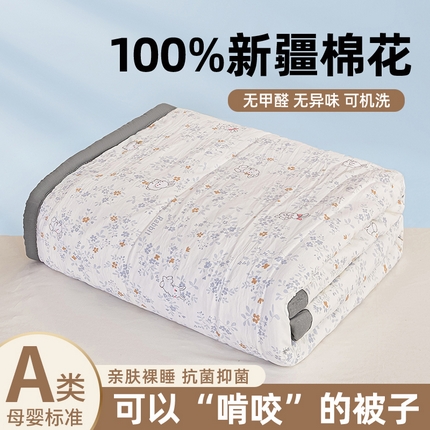  2025新款水洗棉印花棉花被被子被芯 花园兔兔