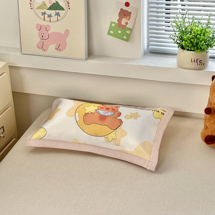 91家纺网 家纺一手货源 找家纺 博雅2025新款冰丝单枕套三丽欧，宇航员，卡皮 月亮卡皮巴拉