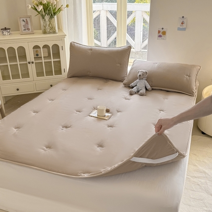 2025新款A类亲肤大豆棉刺绣床垫床褥学生床垫 银杏叶驼