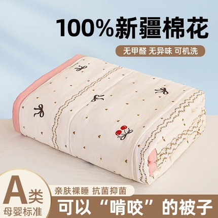  2025新款水洗棉印花棉花被被子被芯 遇见