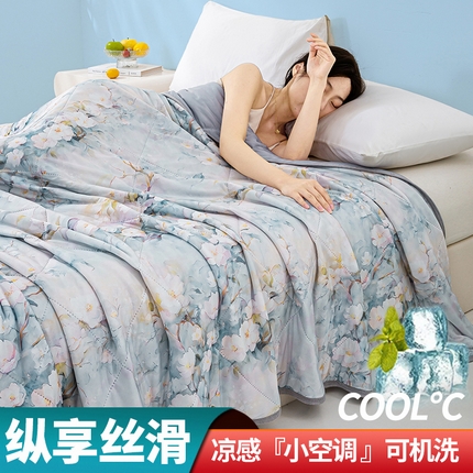 罗布斯2025新款夏被A类氨纶凉感丝印花夏凉被可机洗空调被芯(有多场景买家秀） 忆江南