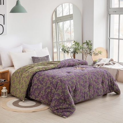 双层纱家居 2025新款双层纱大豆被夏被春秋被冬被被子被芯【黛西紫】春秋被冬被尺码齐全