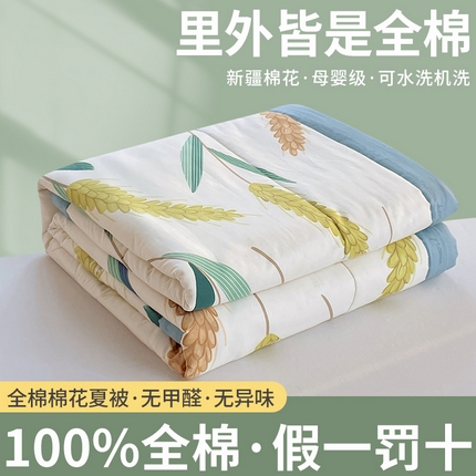 91家纺网 家纺一手货源 找家纺 （总） 2025新款A类全棉棉花夏被纯棉夏被 被子被芯