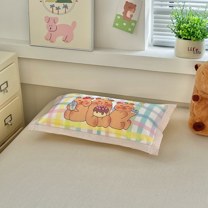 91家纺网 家纺一手货源 找家纺 博雅2025新款冰丝单枕套三丽欧，宇航员，卡皮 派对卡皮巴拉