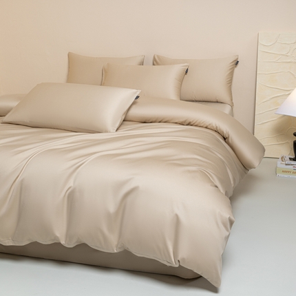91家纺网 家纺一手货源 找家纺 舒慕家纺 2025新款100s高支贡缎长绒棉纯色四件套双拼四件套（送包装） 浅香槟