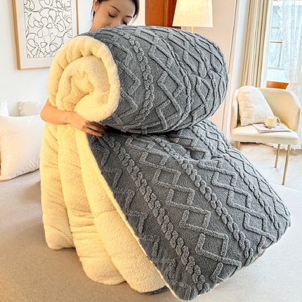 小老弟 2025新款塔芙蓉双面绒保暖冬被春秋被子被芯 塔塔灰