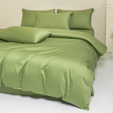 舒慕家纺 2025新款100s高支贡缎长绒棉纯色四件套双拼四件套（送包装） 香草绿