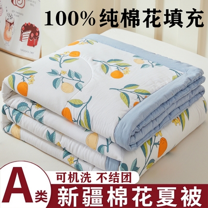 2025新款小花款新疆棉花夏被【棉花含量100%】夏季空调被薄被子可机洗夏凉被 硕果