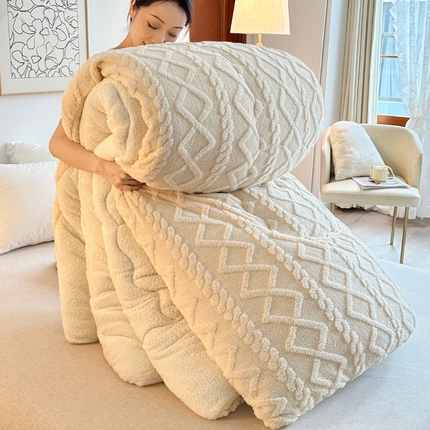 小老弟 2025新款塔芙蓉双面绒保暖冬被春秋被子被芯 塔塔卡其