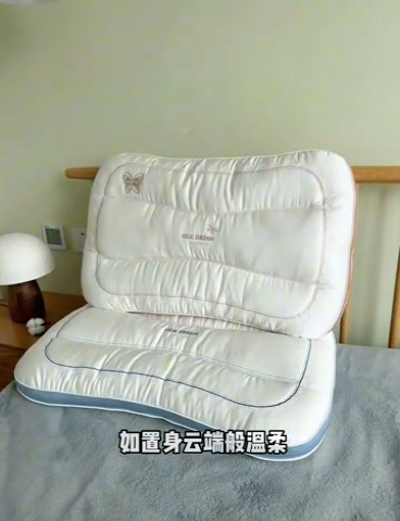 91家纺网 家纺一手货源 找家纺 （总）昕科 2025新款蚕丝蝴蝶立体枕头-莱赛尔天丝桑蚕丝绣花枕芯蝴蝶刺绣枕