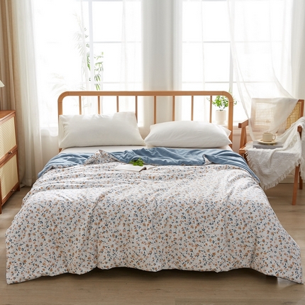 伊人坊 2025新款全棉印花夏被 春色