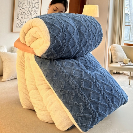 91家纺网 家纺一手货源 找家纺 （总）小老弟 2025新款塔芙蓉双面绒保暖冬被春秋被子被芯