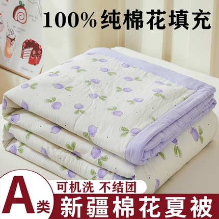 2025新款小花款新疆棉花夏被【棉花含量100%】夏季空调被薄被子可机洗夏凉被 紫萝卜