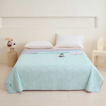 畅销被业 2025新款A类凉感丝纯色压花夏被系列直播外贸跨境 浅绿