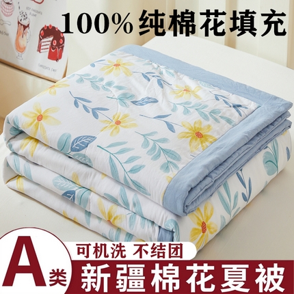2025新款小花款新疆棉花夏被【棉花含量100%】夏季空调被薄被子可机洗夏凉被 甜美春日