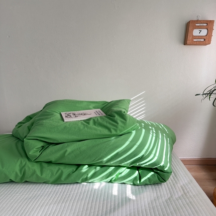 91家纺网 家纺一手货源 找家纺 （总）恋恋三季 2025新款枕套压边纯色四件套爱尔兰绿系列-单被套