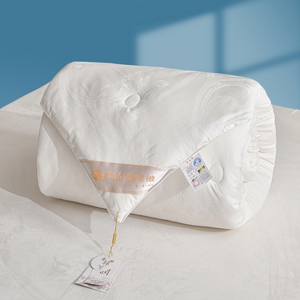 默忆 2025新款纯棉蚕丝被被子被芯 白色