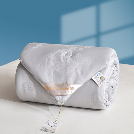 默忆 2025新款纯棉蚕丝被被子被芯 灰色