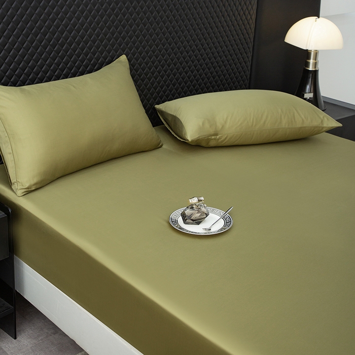 91家纺网 家纺一手货源 找家纺 简宜家居（朝初家纺） 2025新款兰精天丝单床笠 柔肌-松绿