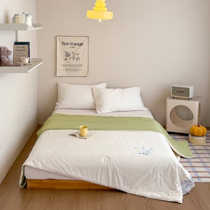 亿莱鑫 2025新款7A抗菌针织凉感丝双感夏凉被 空调被 被子夏被 珍珠白